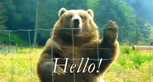 A bear waving a paw with a caption saying hello